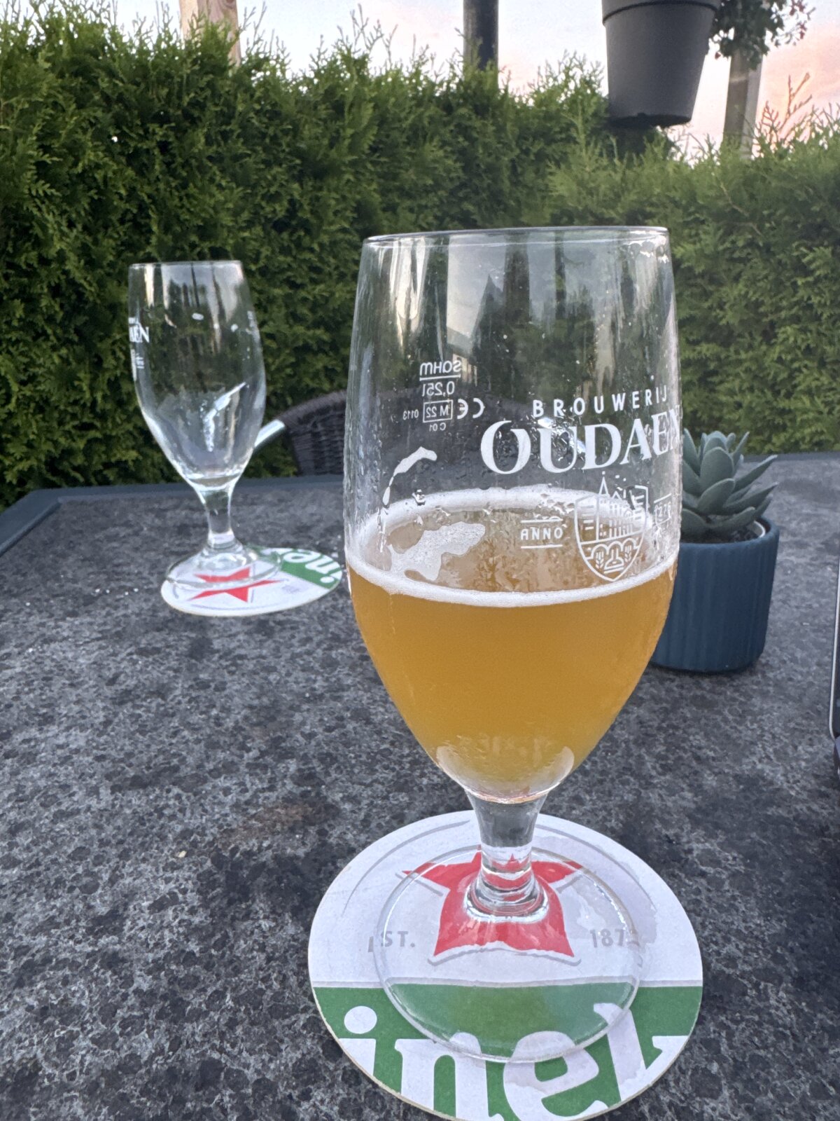 Food & drinks
